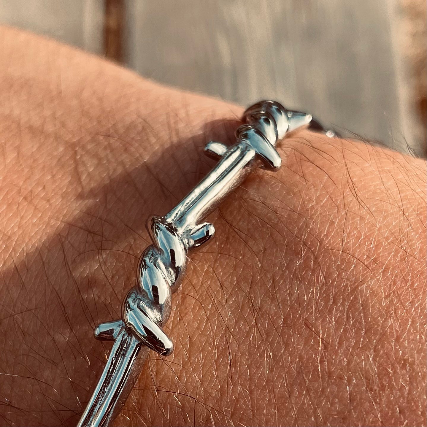 Sebastian Titanium Bangle - LeoNegro